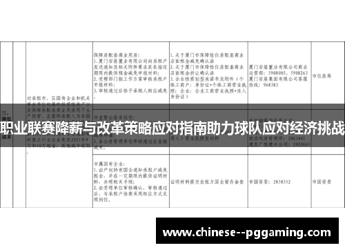 职业联赛降薪与改革策略应对指南助力球队应对经济挑战