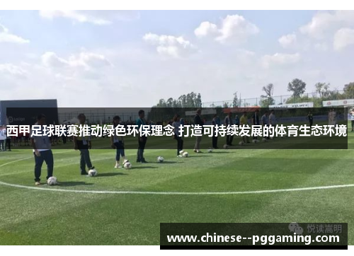 西甲足球联赛推动绿色环保理念 打造可持续发展的体育生态环境