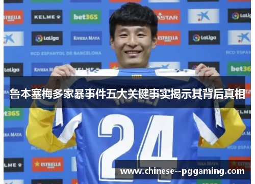 鲁本塞梅多家暴事件五大关键事实揭示其背后真相